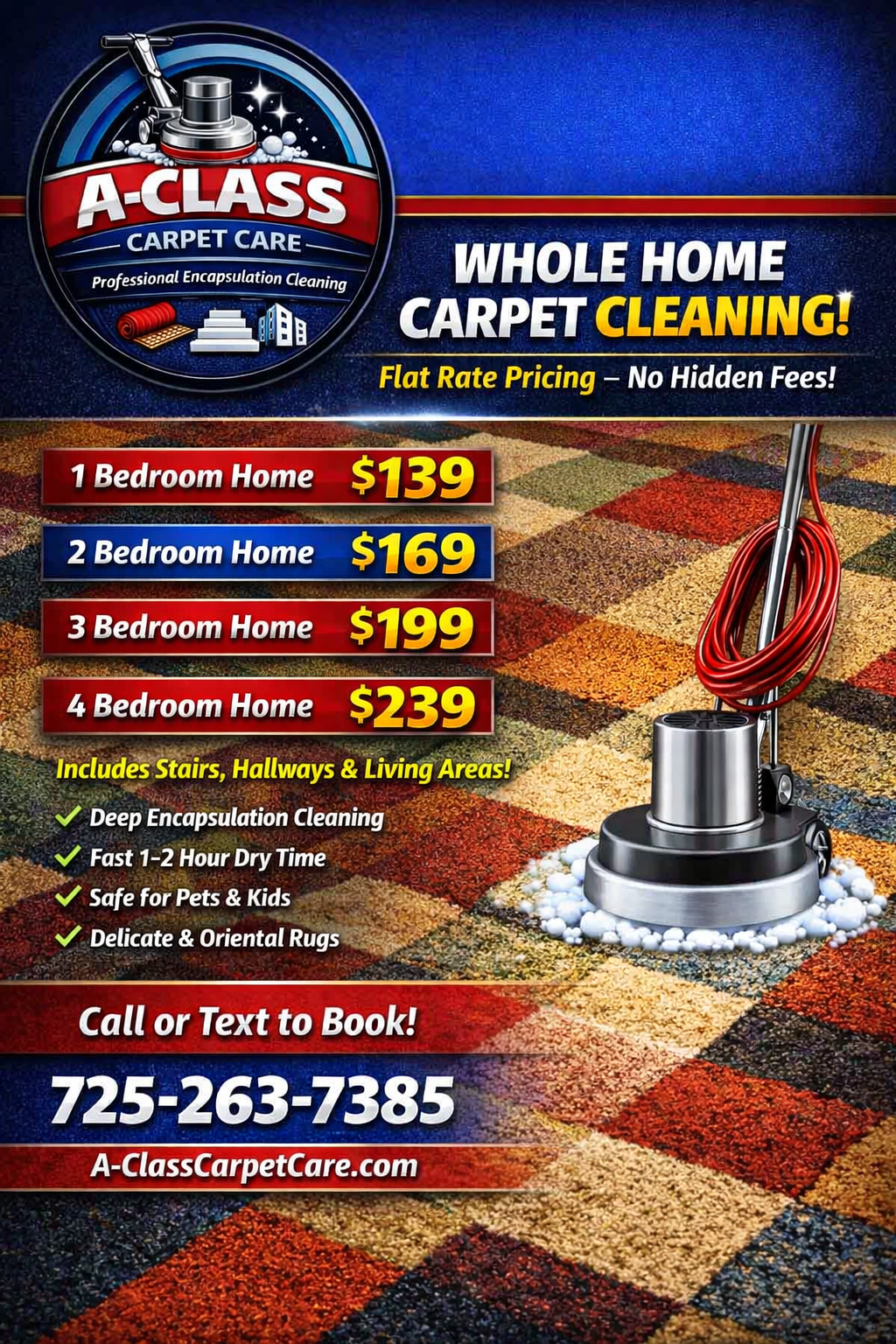 carpet cleaning living room professional